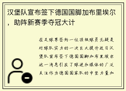 汉堡队宣布签下德国国脚加布里埃尔，助阵新赛季夺冠大计